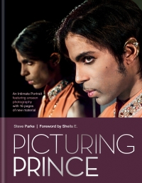 Cover image: Picturing Prince 9781844039692
