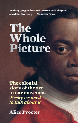 Cover image: The Whole Picture 9781788402453
