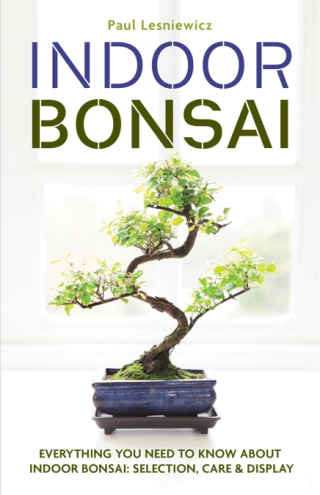 Cover image: Indoor Bonsai 9781788403016
