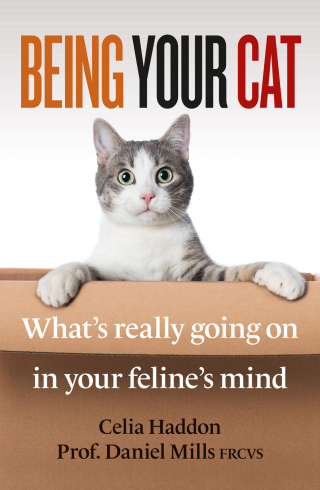Cover image: Being Your Cat 9781788404051