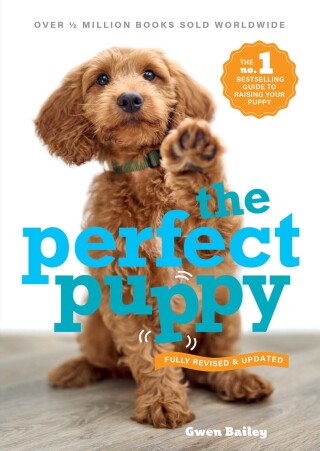 Cover image: Perfect Puppy 9780600637011