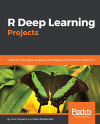 Cover image: R Deep Learning Projects 1st edition 9781788478403