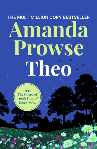 Cover image: Theo 1st edition 9781788542128