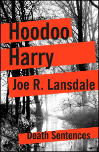 Imagen de portada: Hoodoo Harry 1st edition