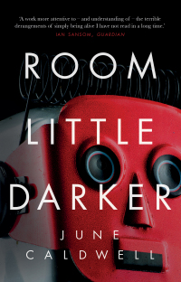 Cover image: Room Little Darker 1st edition 9781788542883