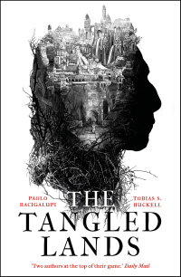 Titelbild: The Tangled Lands 1st edition 9781788544771