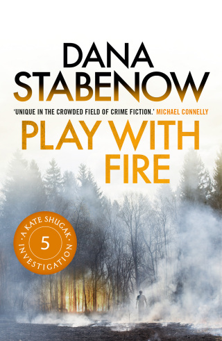 Cover image: Play With Fire 1st edition 9781908800497