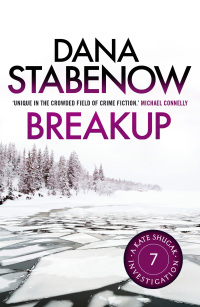 Cover image: Breakup 1st edition 9781908800602