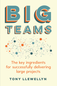 Cover image: Big Teams 9781788601047