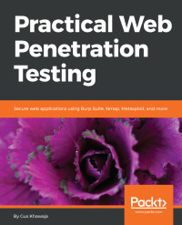 Cover image: Practical Web Penetration Testing 1st edition 9781788624039