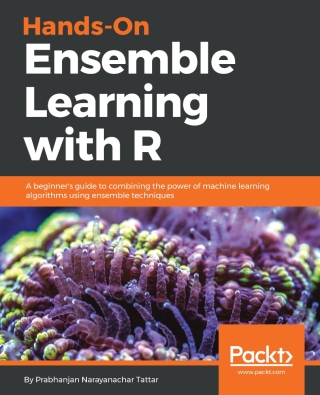 Imagen de portada: Hands-On Ensemble Learning with R 1st edition 9781788624145