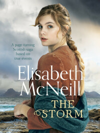 Cover image: The Storm 9781800320062