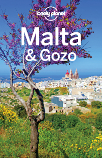 表紙画像: Lonely Planet Malta & Gozo 9781786572912