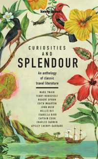 Cover image: Curiosities and Splendour 9781788683029