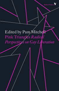 Cover image: Pink Triangles 9781788732345