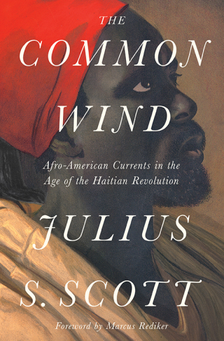 Cover image: The Common Wind 9781788732475