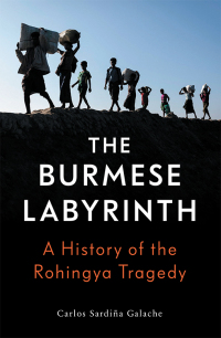 Titelbild: The Burmese Labyrinth 9781788733212