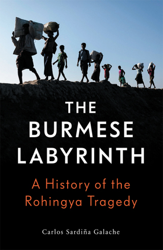Cover image: The Burmese Labyrinth 9781788733212
