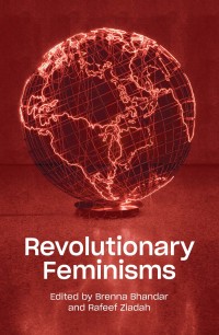 Cover image: Revolutionary Feminisms 9781788737760