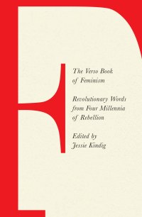 Imagen de portada: The Verso Book of Feminism 9781788739269