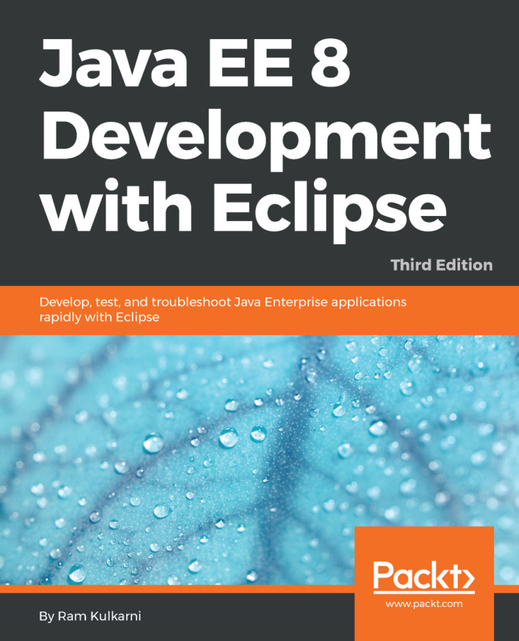 Java EE 8 Development with Eclipse - 3rd Edition (eBook)
