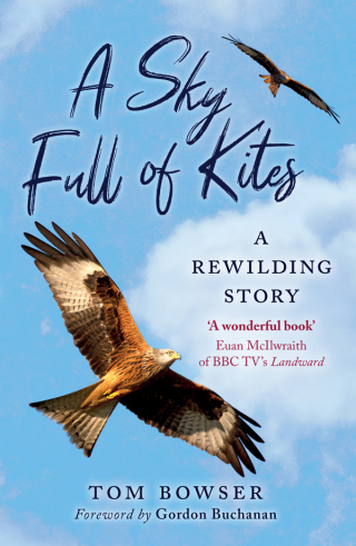 Cover image: A Sky Full of Kites 9781780276502