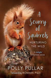 Cover image: A Scurry of Squirrels 9781780277042