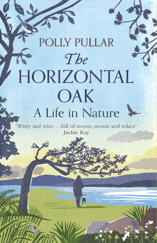 Cover image: The Horizontal Oak 9781780277806