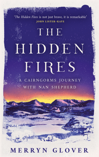 Imagen de portada: The Hidden Fires 9781846975752