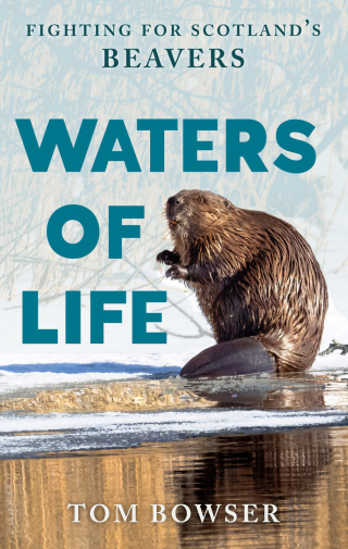 Cover image: Waters of Life 9781780278674