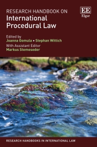 Imagen de portada: Research Handbook on International Procedural Law 1st edition 9781788970785