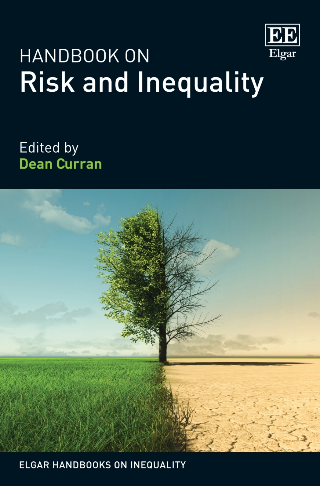 Handbook on Risk and Inequality 1st Edition