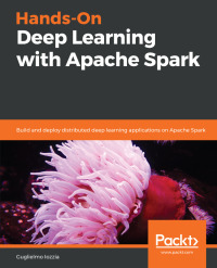 Cover image: Hands-On Deep Learning with Apache Spark 1st edition 9781788994613