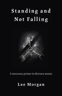 Cover image: Standing and Not Falling 9781789040142