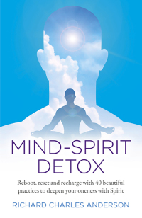 Cover image: Mind-Spirit Detox 9781789040449