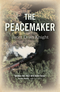 Omslagafbeelding: The Peacemaker 9781789040715