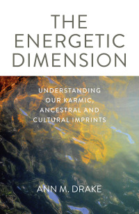 Cover image: The Energetic Dimension 9781789041378