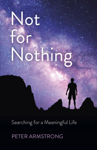 Cover image: Not for Nothing 9781789042962