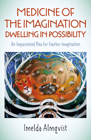 Cover image: Medicine of the Imagination: Dwelling in Possibility 9781789044324