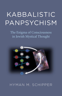 Cover image: Kabbalistic Panpsychism 9781789045178