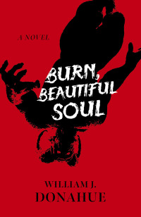 Cover image: Burn, Beautiful Soul 9781789045260