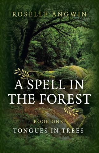 Imagen de portada: A Spell in the Forest 9781789046304