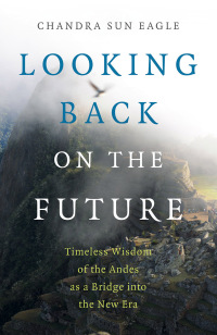 Cover image: Looking Back on the Future 9781789046588
