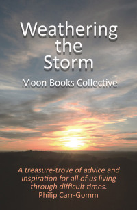 Cover image: Weathering the Storm 9781789046700