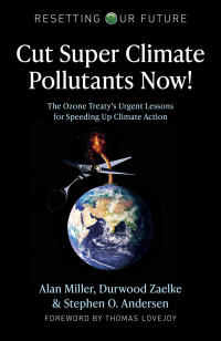 Imagen de portada: Cut Super Climate Pollutants Now! 9781789048346