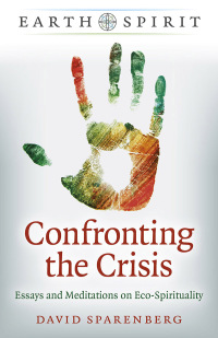 Omslagafbeelding: Confronting the Crisis 9781789049732