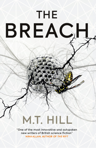 Cover image: The Breach 9781789090031