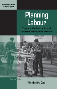 Cover image: Planning Labour 1st edition 9781789201857