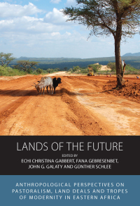 Cover image: Lands of the Future 1st edition 9781789209907