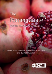 Cover image: The Pomegranate 1st edition 9781789240764